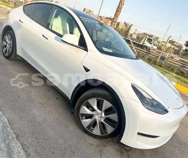 Big with watermark tesla model 3 tuamasaga apia 5675