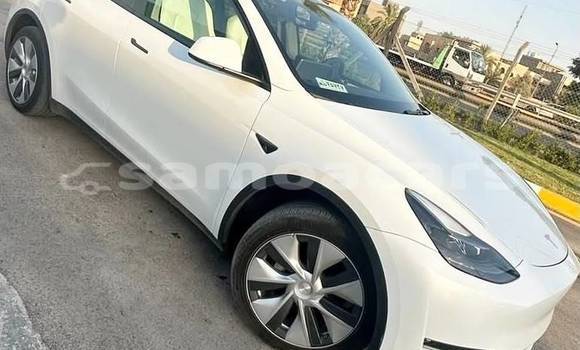 Acheter Occasion Voiture Tesla Model 3 Blanc à Apia, Tuamasaga Acheter Occasion Voiture Tesla Model 3 Blanc à Apia, Tuamasaga