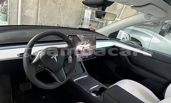 Acheter Occasion Voiture Tesla Model 3 Blanc à Apia, Tuamasaga Acheter Occasion Voiture Tesla Model 3 Blanc à Apia, Tuamasaga