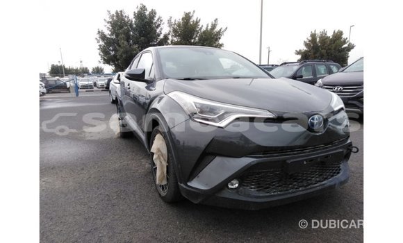 Buy Import Toyota C-HR Other Car in Import - Dubai in A'ana Buy Import Toyota C-HR Other Car in Import - Dubai in A'ana