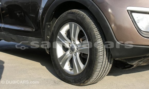 Buy Import Kia Sportage Brown Car in Import - Dubai in A'ana
