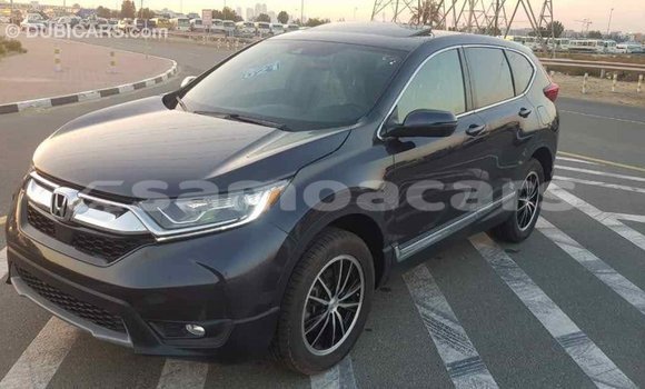 Acheter Import Moto Honda C Autre à Import - Dubai, A'ana Acheter Import Moto Honda C Autre à Import - Dubai, A'ana