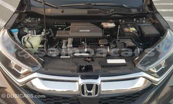 Acheter Import Moto Honda C Autre à Import - Dubai, A'ana