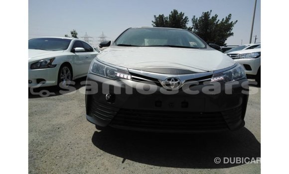 Buy Import Toyota Corolla Other Car in Import - Dubai in A'ana Buy Import Toyota Corolla Other Car in Import - Dubai in A'ana