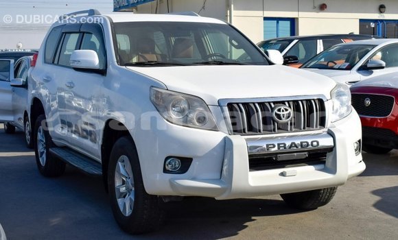 Acheter Import Voiture Toyota Prado Blanc à Import - Dubai, A'ana Acheter Import Voiture Toyota Prado Blanc à Import - Dubai, A'ana