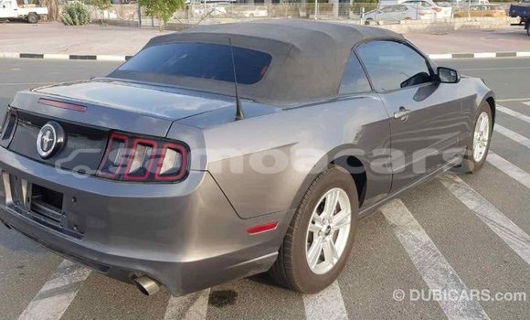 Acheter Import Voiture Ford Mustang Autre à Import - Dubai, A'ana Acheter Import Voiture Ford Mustang Autre à Import - Dubai, A'ana