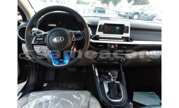 Buy Import Kia Cerato Black Car in Import - Dubai in A'ana Buy Import Kia Cerato Black Car in Import - Dubai in A'ana