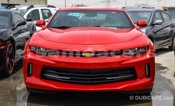 Buy Import Chevrolet Camaro Red Car in Import - Dubai in A'ana Buy Import Chevrolet Camaro Red Car in Import - Dubai in A'ana